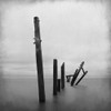 Forgotten Dock Poster Print by Allen Kimberly # KASQ1722A