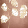 Rose Gold Leaves 1 Poster Print by Allen Kimberly # KASQ1655A
