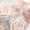 Dusty Pink Succulents 1 Poster Print by Allen Kimberly # KASQ1625A2