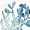 Coral Square 2 Poster Print by Allen Kimberly # KASQ1652B