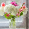 In the Window Poster Print by Allen Kimberly # KASQ1635