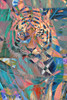 Colorful Tiger Poster Print by Allen Kimberly # KARC1880