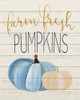 Farm Fresh Pumpkins Poster Print by Allen Kimberly # KARC1818A