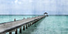 Paradise Poster Print by Kimberly Allen # KARN409A