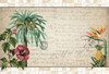 Tropical Paradise Poster Print by Allen Kimberly # KARC1753