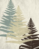 Fern 2 Poster Print by Kimberly Allen # KARC2130B
