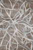 Branching 2 Poster Print by Allen Kimberly # KARC2134B