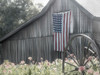 USA Barn Poster Print by Kimberly Allen # KARC2036
