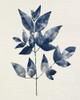 Indigo Leaves 2 Poster Print by Kimberly Allen # KARC2038B