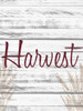 Harvest Poster Print by Kimberly Allen # KARC2089A