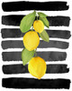 Fresh 3 Poster Print by Kimberly Allen # KARC2030C