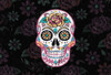 Roses and Skull Poster Print by Allen Kimberly # KARC1562A2