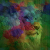 Lion Roar Poster Print by Jamie Phillip # JS179A