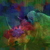 Rhino Poster Print by Jamie Phillip # JS179B