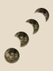 Moon Path Poster Print by Jamie Phillip # JRV44