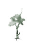Aqua Tree 2 Poster Print by Jamie Phillip # JRV70B