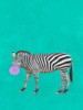 Zebra Bubble Poster Print by Jamie Phillip # JRV193A