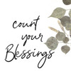 Blessings Poster Print by Jamie Phillip # JS330B