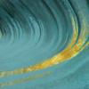 Golden Tone Poster Print by Jamie Phillip # JS268A