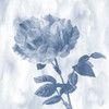 Blue Rose Poster Print by Jamie Phillip # JS296A