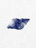 Indigo Shell 2 Poster Print by Jamie Phillip # JRV139B