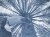 Blue Tropics Poster Print by Jamie Phillip # JRH57