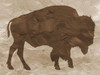Wild Africa Poster Print by Jamie Phillip # JRH21