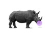 Rhino Bubble Poster Print by Jamie Phillip # JRH163A
