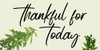 Thankful Poster Print by Jamie Phillip # JPW53A