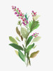 Forest Flower Poster Print by Asia Jensen # JN416A