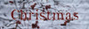 Christmas Snow Poster Print by Jamie Phillip # JPH16A