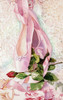 Ballet Rose Poster Print by Judy Koenig # JKG111123DG