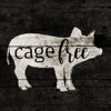 Cage Free Poster Print by Jace Grey # JGSQ1079B