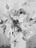 Soft Vase Poster Print by Daisy D Daisy D # JE5RC002