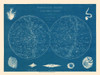 Celestial Planisphere - Drioux 1882 Poster Print by Drioux Drioux # ITCP0001
