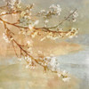 Blossoms OnThe Pond I Poster Print by John Seba # IS6834