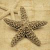 Starfish Poster Print by John Seba # IS5199