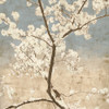 Cherry Blossoms I Poster Print by John Seba # IS5803