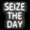 Neon Seize The Day WB Poster Print by Hailey Carr # HR116234