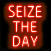 Neon Seize The Day RB Poster Print by Hailey Carr # HR116193