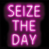 Neon Seize The Day PB Poster Print by Hailey Carr # HR116122