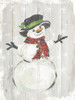 Holiday Snowman Poster Print by PI Studio PI Studio  # HP182A