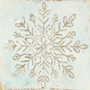 Glistening Snowflake I  Poster Print by PI Studio PI Studio  # HP065A