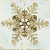 Glistening Snowflake IV Poster Print by PI Studio PI Studio  # HP068A