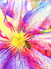 Happy Bee I Poster Print by Heidi Bannon # HBA116988