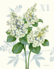 Tardiva Hydrangea Poster Print by Pamela Gladding # GLA624