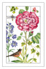 Print Botanical IV Poster Print by Pamela Gladding # GLA631