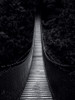 Bridge for nowhere Poster Print by Braun Studio Braun Studio # GC392