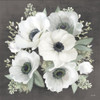 Anemone Square II   Poster Print by House Fenway House Fenway # FEN245