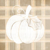 Plaid Pumpkin II Poster Print by House Fenway House Fenway # FEN163